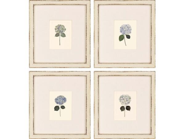 Hydrangea Minis S/4 Art Paragon