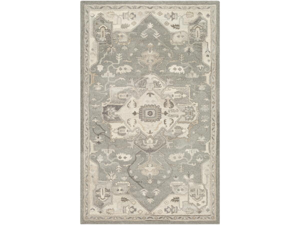 Caesar CAE-1196 Rugs Surya