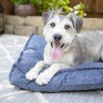 Millie Indoor/Outdoor Mattress Pet Beds La-Z-Boy 10