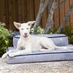 Beau Indoor/Outdoor Bed Pet Beds La-Z-Boy 13