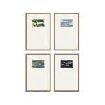 Hummingbirds S/4 Art Paragon 3