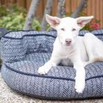 Gaston Indoor/Outdoor Sofa Bed Pet Beds La-Z-Boy 13
