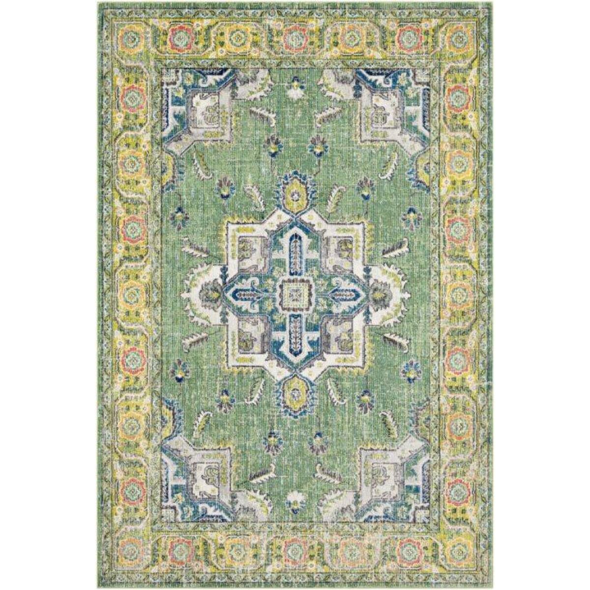 ASK2313 Rugs Customizable ASK2313 Rugs Customizable