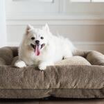 Rosie Lounger, Greystone Taupe - Image 3