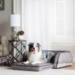 Duchess Fold Out Sleeper Sofa w/iClean, Gray Pet Beds La-Z-Boy 6