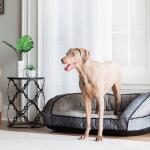 Harper Sofa Bed, Twill Smoke - Image 4