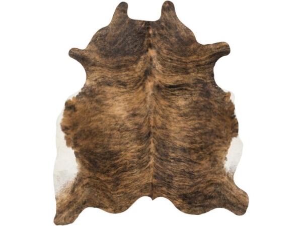 Duke 5×7 Rugs Surya