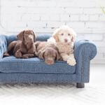 Tuscon Sofa, Blue Pet Beds La-Z-Boy 8