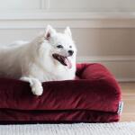 Rosie Lounger, Merlot Pet Beds La-Z-Boy 6