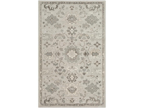 Caesar CAE-1197 Rugs Surya
