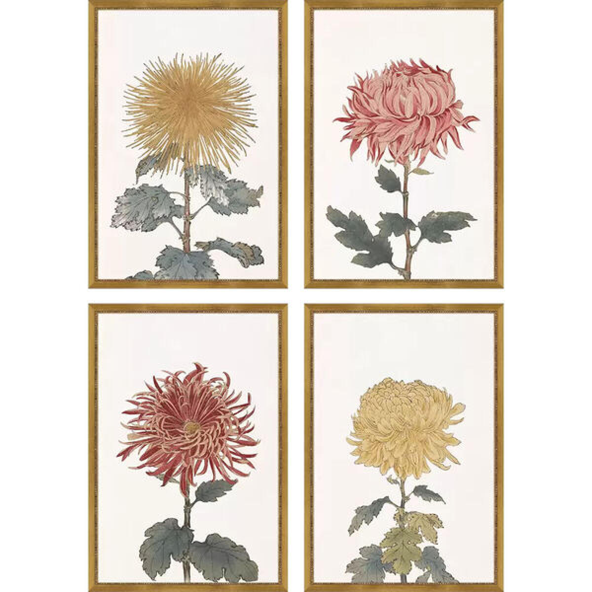 Chrysanthemum S/4 Chrysanthemum S/4 - Image 1