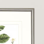 Classic Citrus S/4 - Image 3