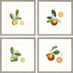 Distant Suns S/2 Art Paragon 2