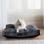 Cooper Mattress, Smoke Pet Beds La-Z-Boy 6