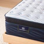 iComfortECO Q20GL Firm Pillow Top Firm Back Sleeper 8