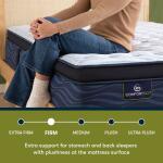 iComfortECO Q20GL Firm Pillow Top Firm Back Sleeper 10