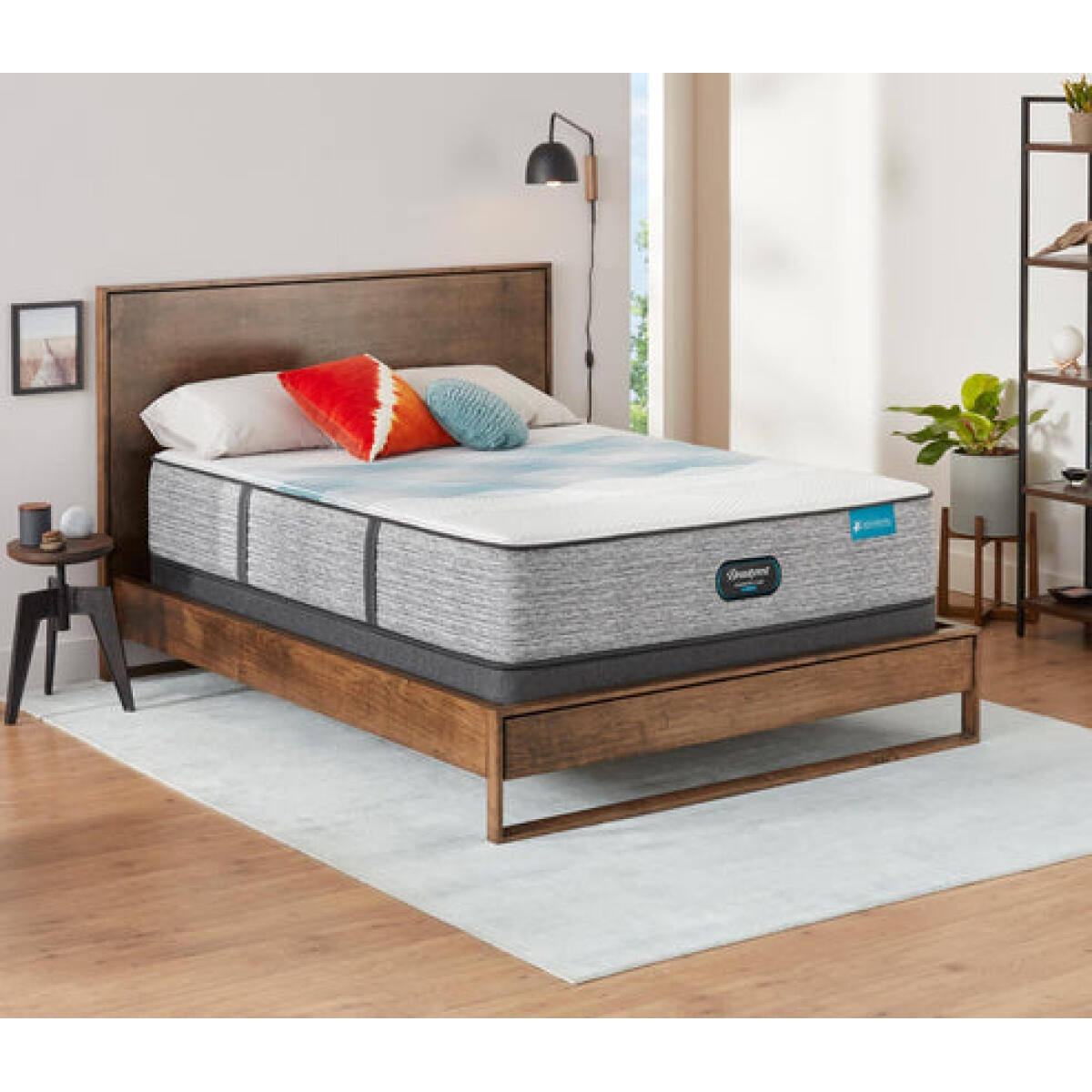 Empress Hybrid Medium Mattress California King All Positions Empress Hybrid Medium Mattress California King All Positions