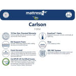 Carlson Firm Mattress Firm Back Sleeper 6